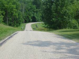 Looking down Maple Grove Road in front of the farm