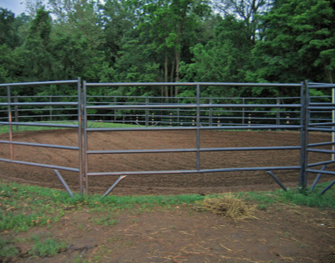The Round Pen